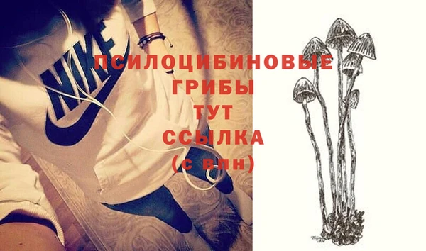 Альфа ПВП Щучье